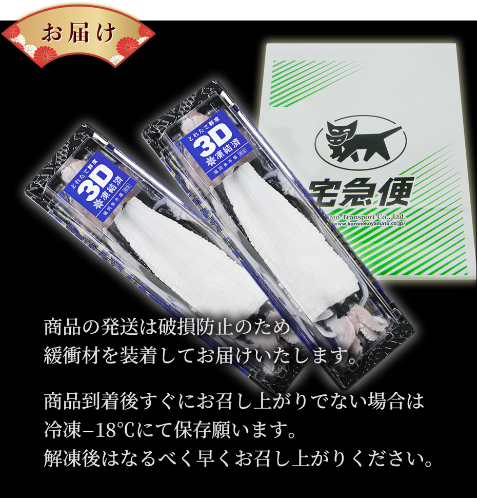 ヤリイカ姿造り