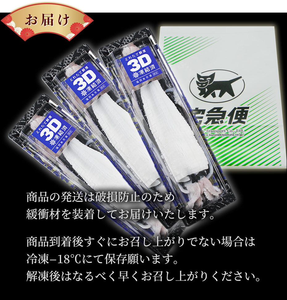 ヤリイカ姿造り