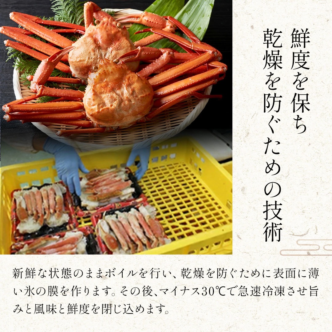 カフェファディ ONLINE SHOP / 【TVで紹介されました】ファディ