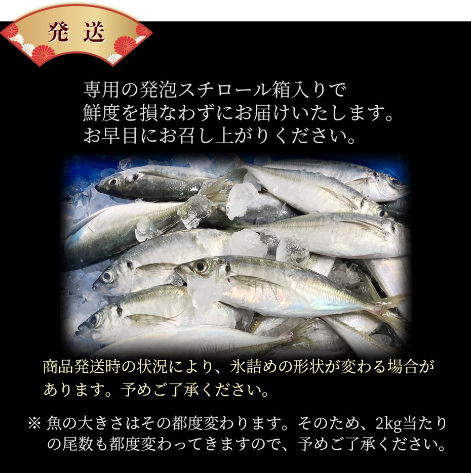 九州産 天然真アジ 2kg 1匹あたり 0g 300g前後 市場直送 天然魚 鮮魚 鯵 刺身 アジフライ 海産物 海鮮 お取り寄せ おつまみ Aji 2k 博多魚匠 通販 Yahoo ショッピング