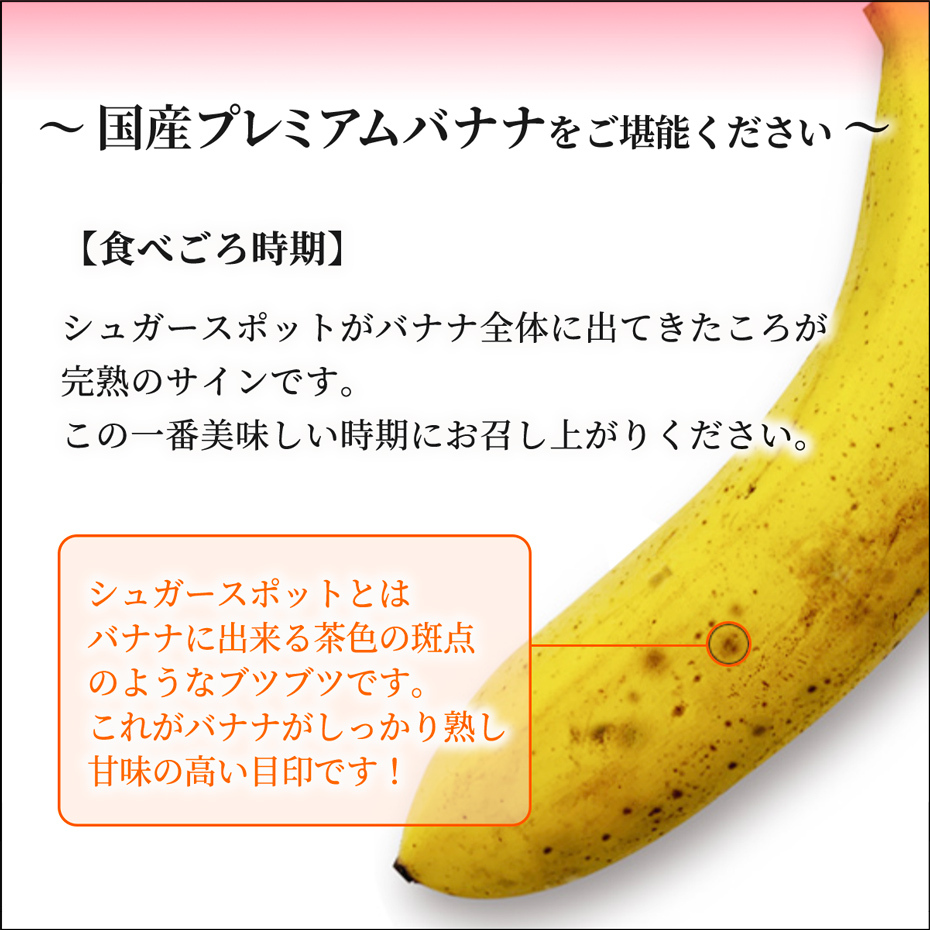 恋バナナ