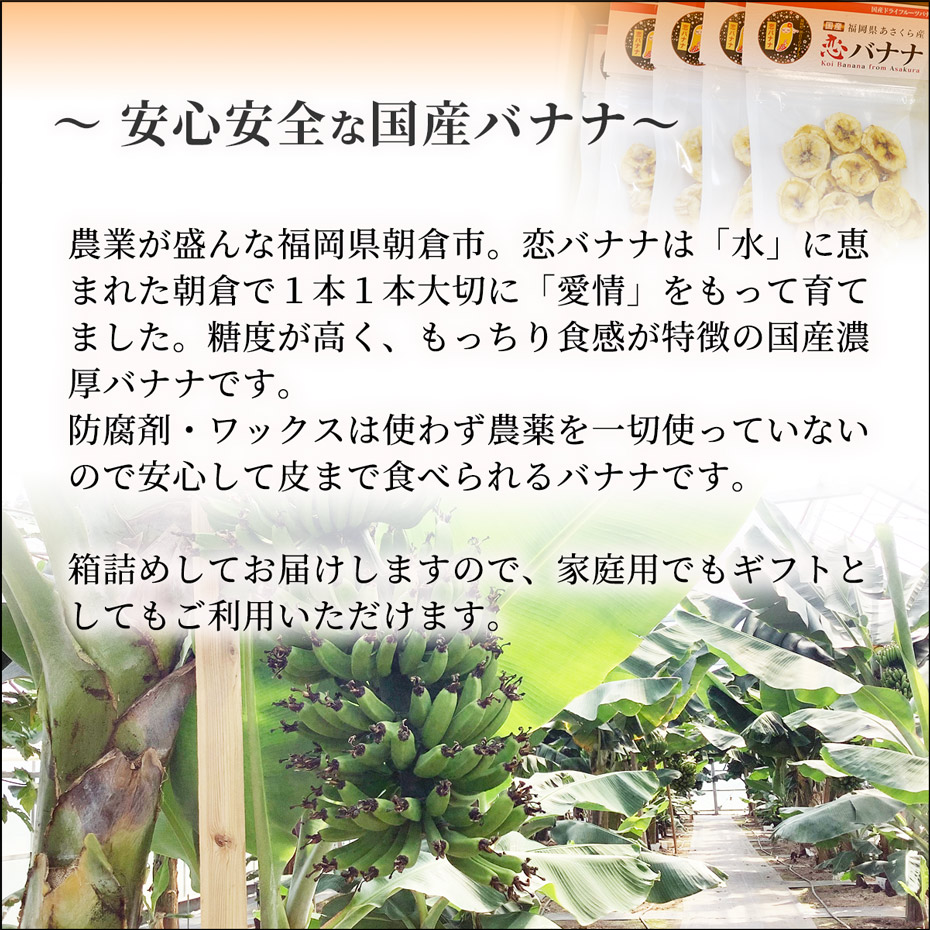 恋バナナのドライフルーツ