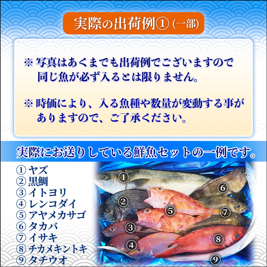 天然魚セット 松 約9種類 10 15人前 博多 福岡 九州 鮮魚 高級魚 海鮮 送料無料 Sengyo01 博多魚匠 通販 Yahoo ショッピング