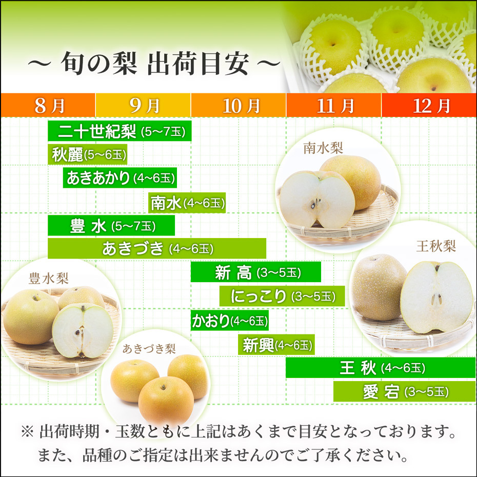 本命ギフト ふるさと納税 先行予約 山之上の 梨 豊水 2.5kg 程度 山之上果実農業協同組合 M07S07 岐阜県美濃加茂市 firmadys.pl