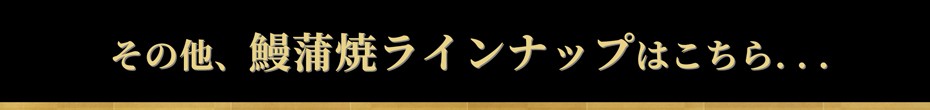 九州産　国産鰻蒲焼　無頭