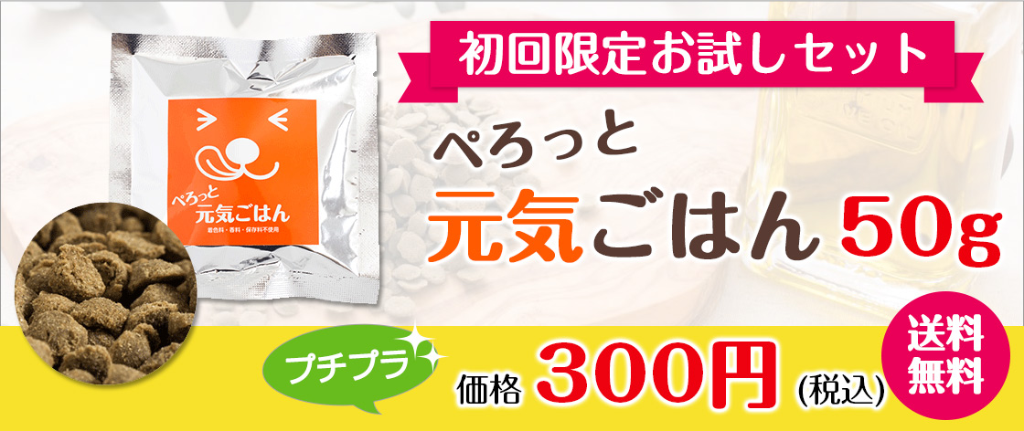博多ドッグス - Yahoo!ショッピング