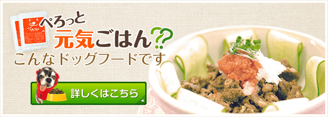 博多ドッグス - Yahoo!ショッピング