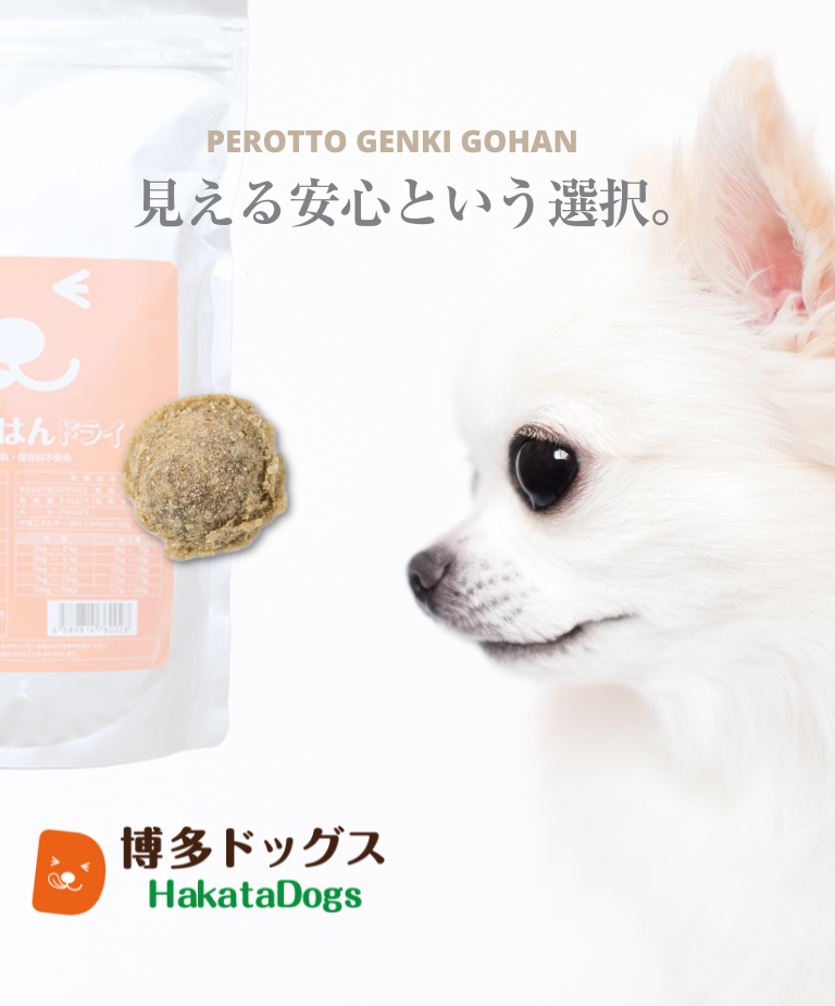 博多ドッグス - Yahoo!ショッピング