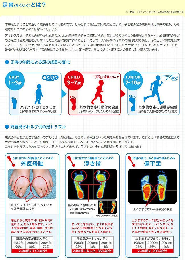 瞬足 上履きアキレス ソクイク 足育 CI-001 シュンソク 上靴 子供 白