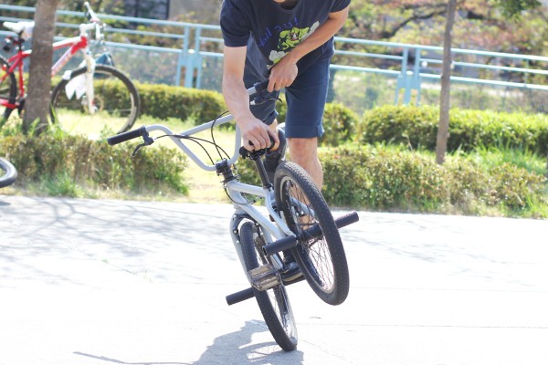 ARESBIKES アーレスバイク フラットランド ストリート BMX S-KILL エスキル : aresbikes-s-kill : hakkle  - 通販 - Yahoo!ショッピング