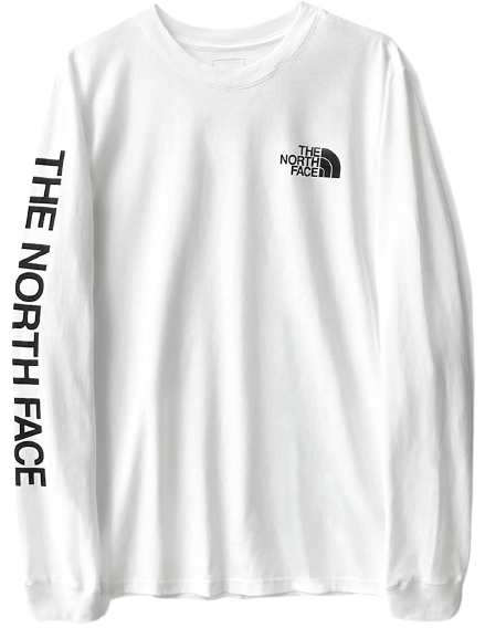 ノースフェイス 袖ロゴ 長袖 Tシャツ ロンT THE NORTH FACE SLEEVE HIT L/S TEE