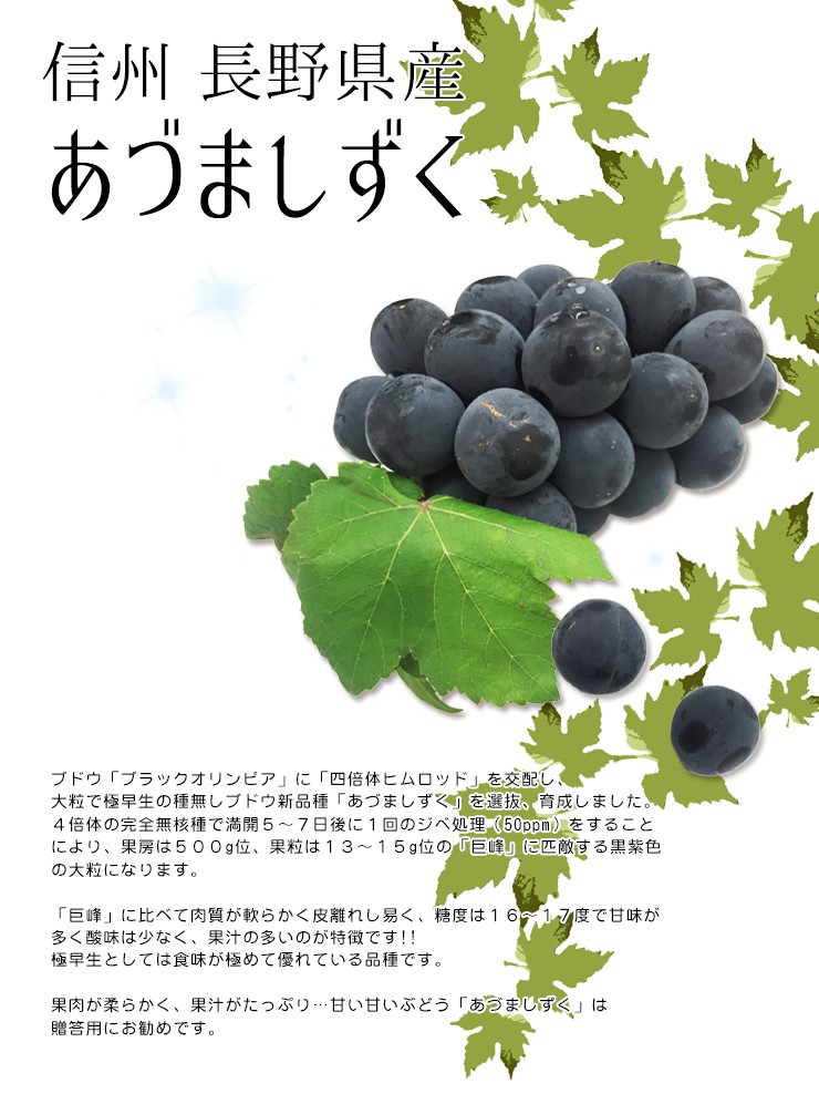 信州 長野県産 ぶどう【あづましずく】約1.5kg（2〜3房）種なしぶどう : adumashizuku-2kg : 発掘商会 - 通販 -  Yahoo!ショッピング