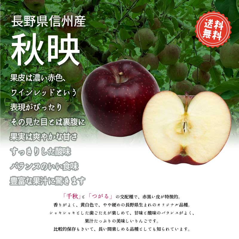 りんご 秋映 約3kg 2025年収穫 信州 長野県産 期間限定 あきばえ