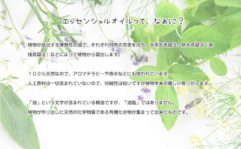 富良野ラベンダー-4