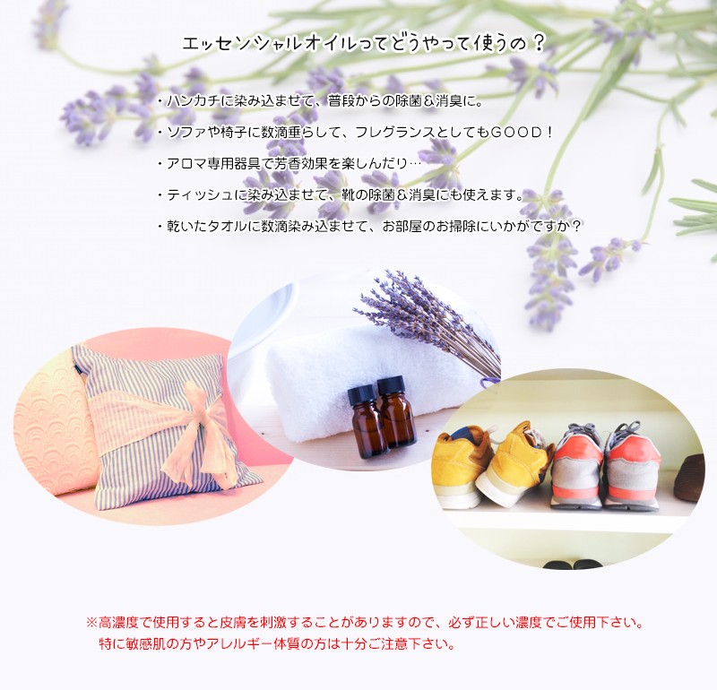 富良野ラベンダー-5