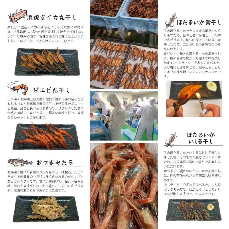 海から飛び出たうまいもん 100ｇ(業務用) 福井近海産　ギフト お中元 父の日 母の日