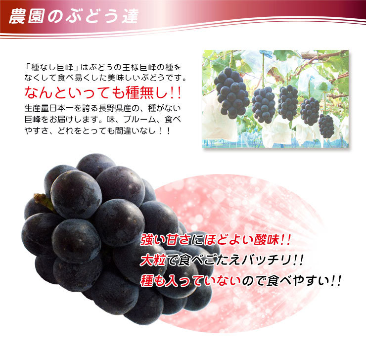 ぶどう-2