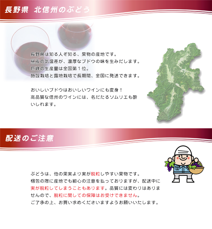 ぶどう-4