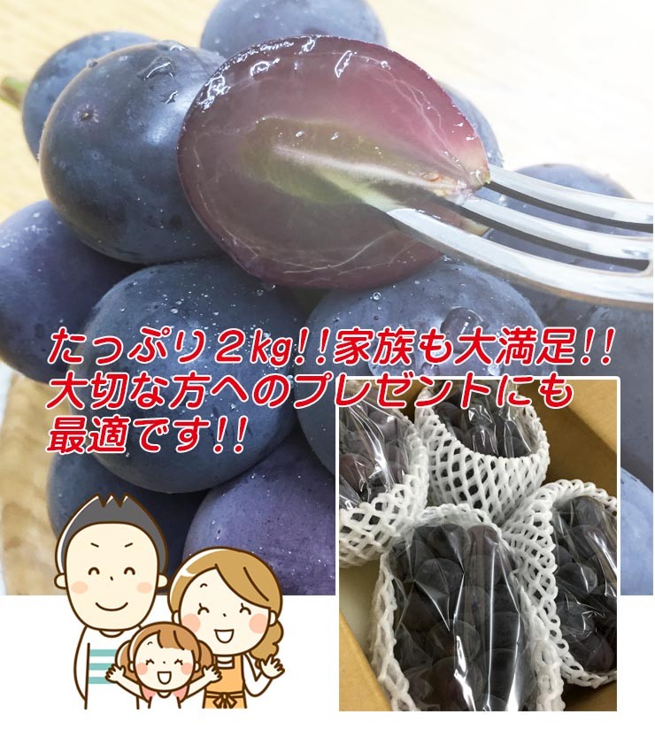 ぶどう-6