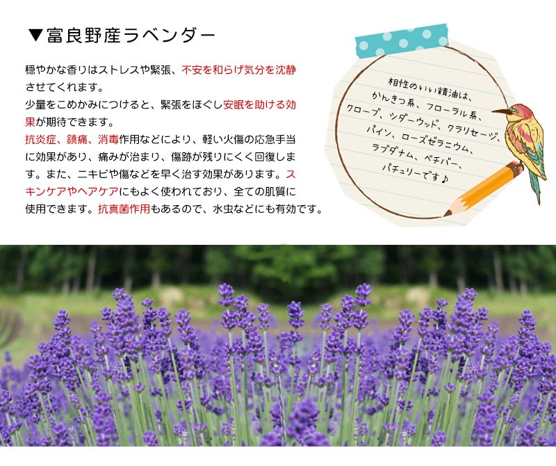 富良野ラベンダー-2