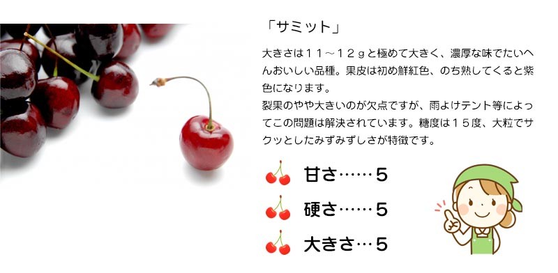 さくらんぼ サミット (500g×2パック) 北海道 仁木町産 : 発掘