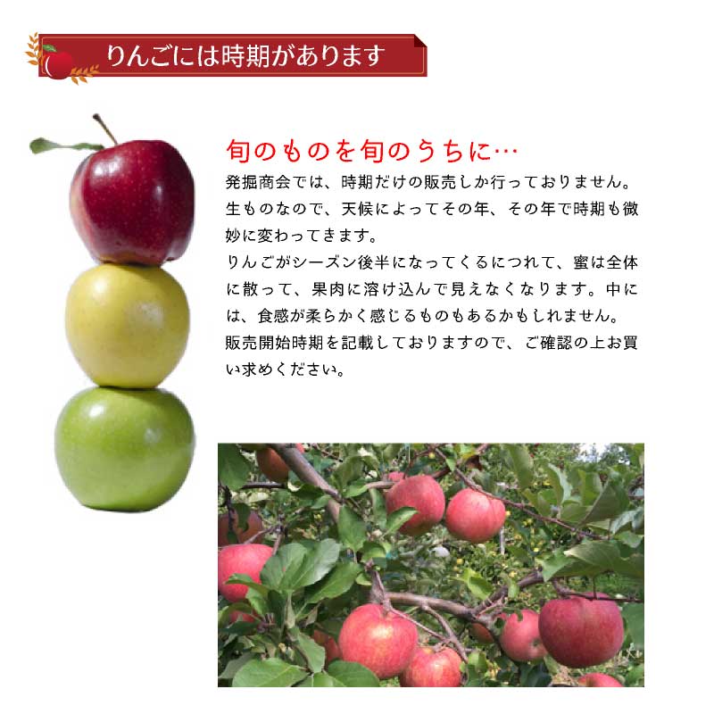 りんごです 日出木りんご | MY PERSPECTIVE | XICO Inc / 株式会社ヒーコ