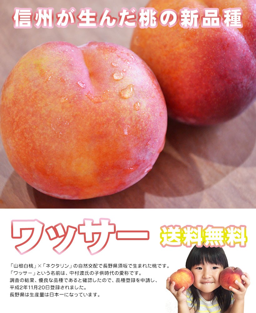 新鮮な桃 約5キロ 葉付き ワッサー】 約3kg 10個前後 桃 信州 長野県産 大きさミックス