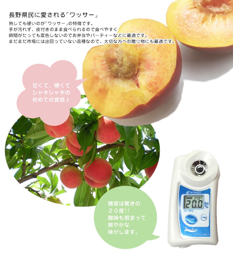 ワッサー】 約3kg 10個前後 桃 信州 長野県産 大きさミックス