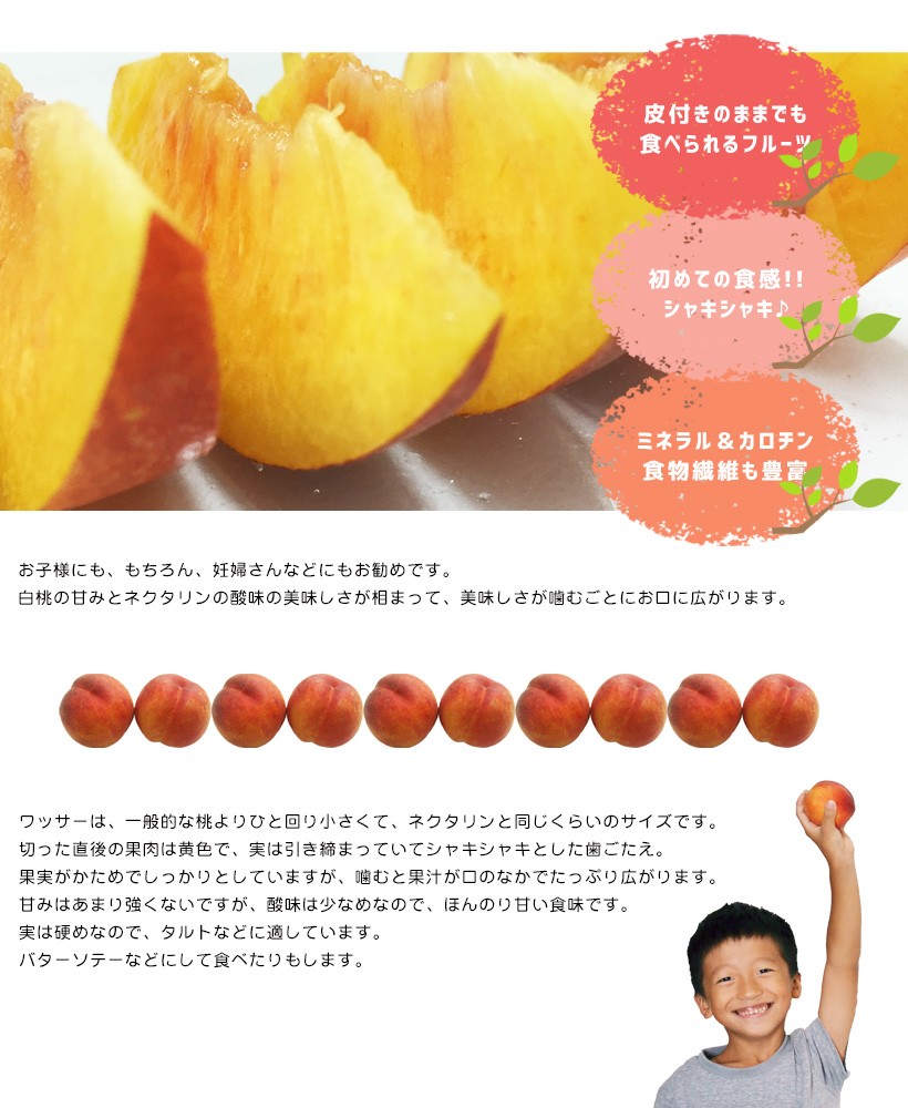 wasa-top3.jpg