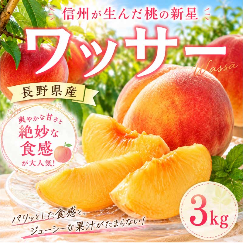 ワッサー】 約3kg 8個前後 桃 信州 長野県産 大きさミックス 期間
