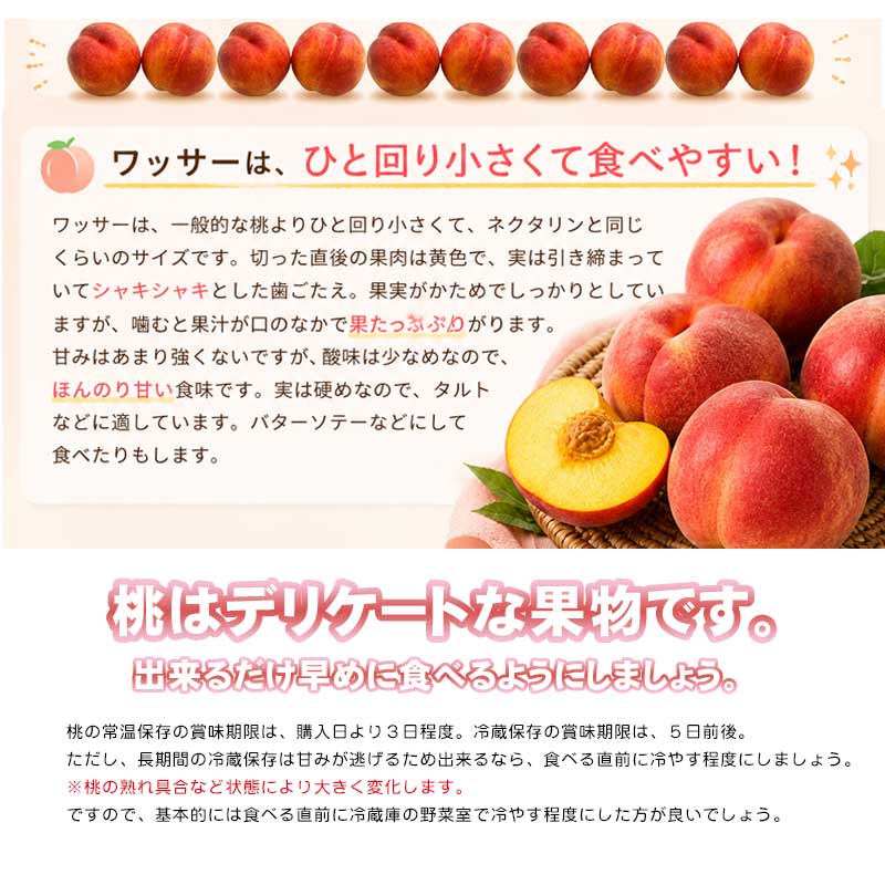 ワッサー】 約3kg 8個前後 桃 信州 長野県産 大きさミックス 期間