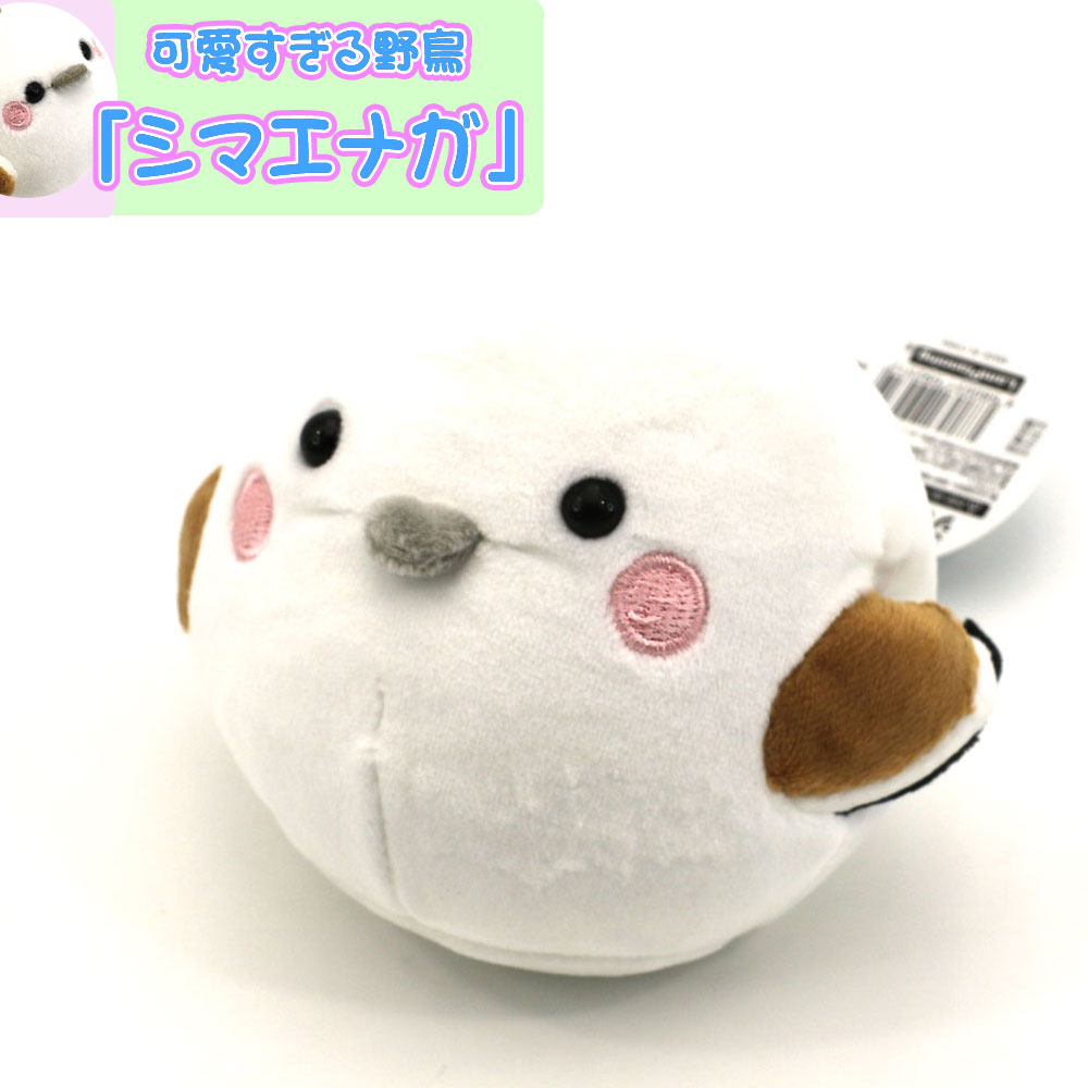 kinaga-m0.jpg
