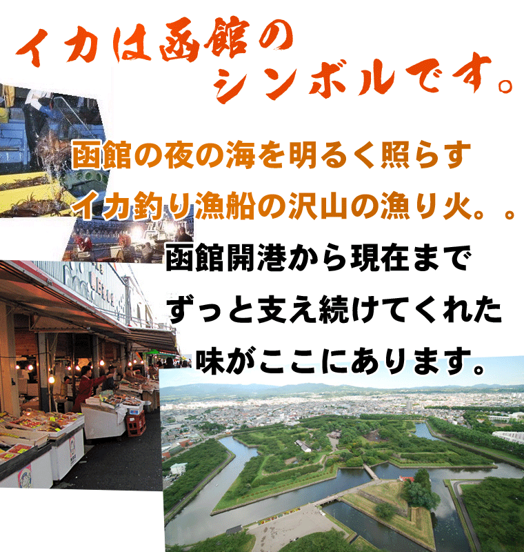 函館えさん昆布の会 するめ 函館 スルメイカ 超特大サイズ×5枚入