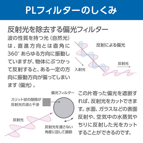 ハクバ XC-PRO エクストリーム サーキュラーPLフィルター 52mm CF