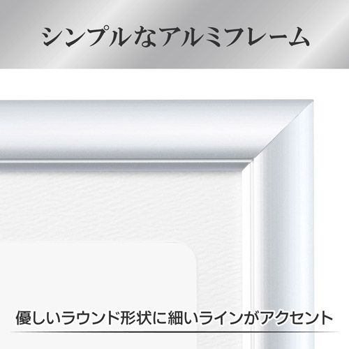 ハクバ アルミ額縁 PEORIA+(ペオリア ...の詳細画像3