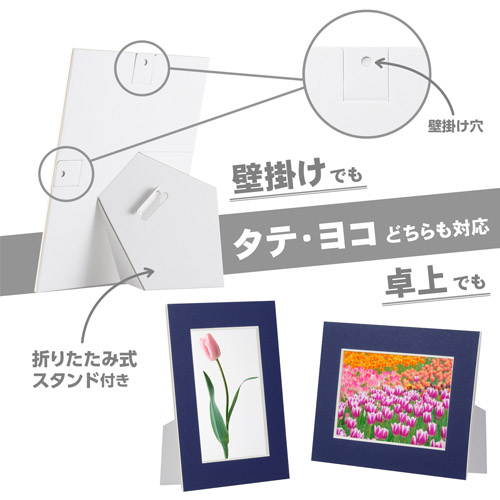 ハクバ カラーペーパースタンド Lサイズ ネイ...の詳細画像1