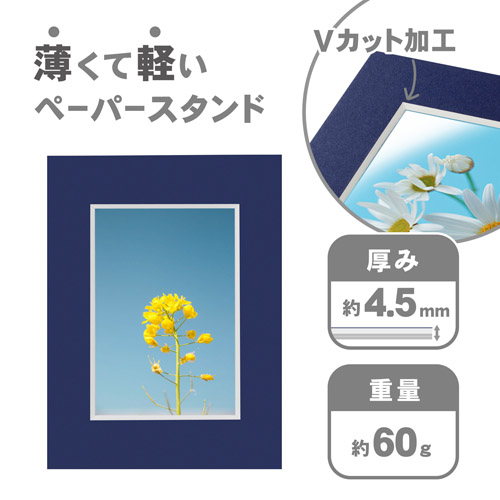 ハクバ カラーペーパースタンド Lサイズ ネイ...の詳細画像2