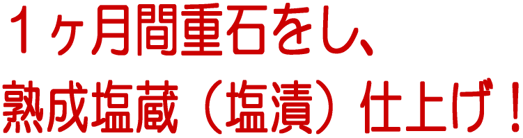 1ヶ月間重石をし、塩漬しました！