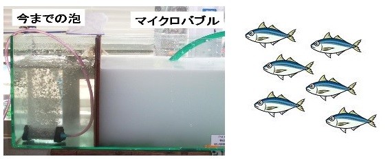 工進 プロテインスキマー HDS-BTPS001（バブルタンク） + 60Hz
