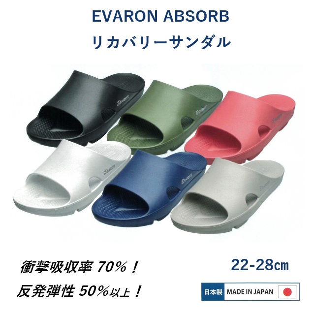 RC-02 �G�o���� ���J�o���[�T���_�� �A�u�\�[�u EVARON ABSORB RC02 ���{�� �Ռ��z�� ���e�� 22cm 28cm ��Ï]���� �����d��