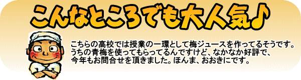 予約販売 紀州南高梅 梅酒用 4Lサイズ 半熟青梅 ２ｋｇ 紀州みなべ 自家梅園産 生梅 和歌山 ６月上旬より順次発送予定 送料無料