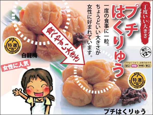 梅干し 特選 紀州 南高梅 プチはくりゅう 20個入 塩分約12％ 和歌山