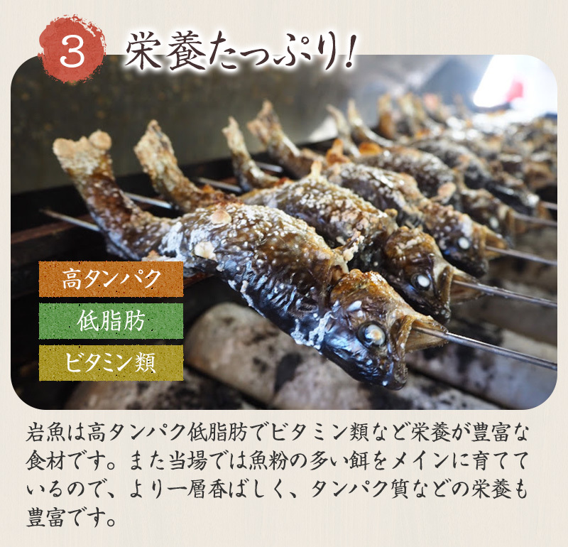 イワナ 岩魚 串打ち 冷凍 加熱用 5本 （串焼き 岩魚 いわな 川魚 養殖 冷凍 下処理済 個包装 串なし のし（熨斗）対応可 贈り物 ギフト)  :hd003:淡水養魚場 白山堂 Yahoo!店 - 通販 - Yahoo!ショッピング