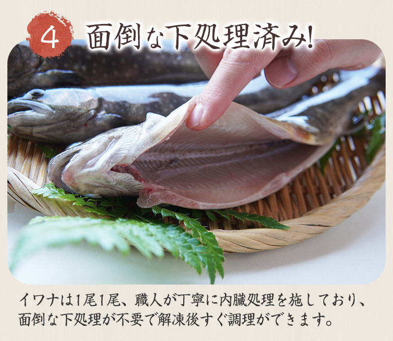 イワナ 岩魚 串打ち 冷凍 加熱用 5本 （串焼き 岩魚 いわな 川魚 養殖 冷凍 下処理済 個包装 串なし のし（熨斗）対応可 贈り物 ギフト)  :hd003:淡水養魚場 白山堂 Yahoo!店 - 通販 - Yahoo!ショッピング