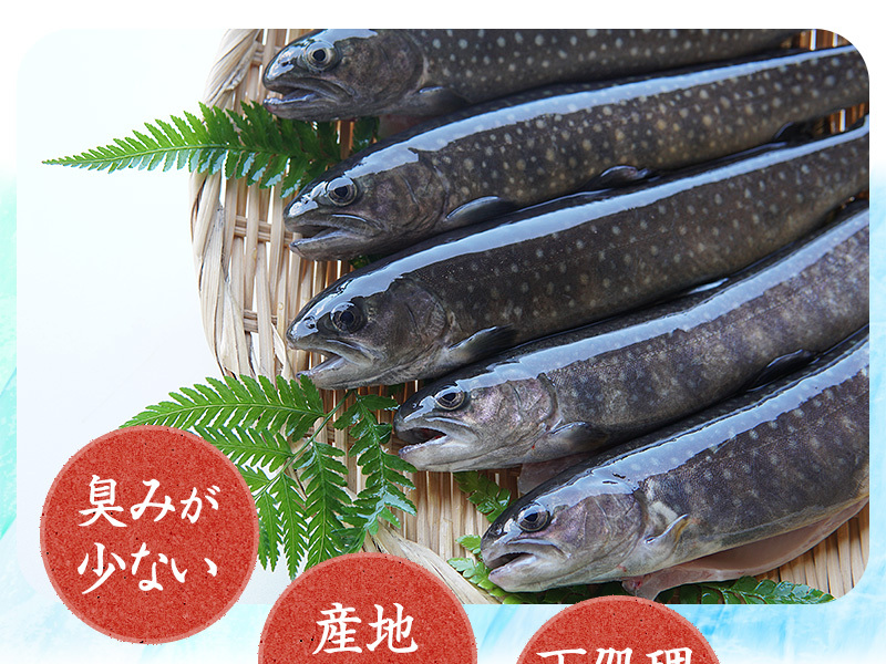 イワナ 岩魚 冷凍 川魚 養殖 骨酒 塩焼き 誕生日 ギフト 加熱用 10尾 串なしタイプ :hd002:淡水養魚場 白山堂 Yahoo!店 - 通販  - Yahoo!ショッピング