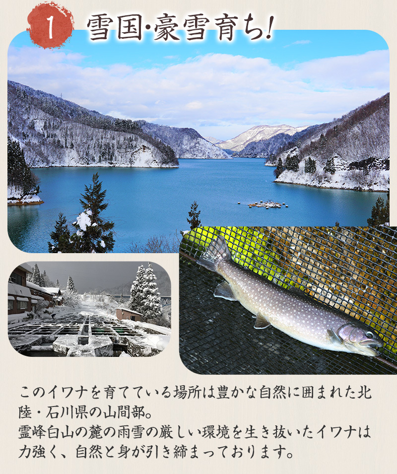 イワナ 岩魚 冷凍 川魚 養殖 骨酒 塩焼き 誕生日 ギフト 加熱用 5尾 串なしタイプ :hd001:淡水養魚場 白山堂 Yahoo!店 - 通販  - Yahoo!ショッピング