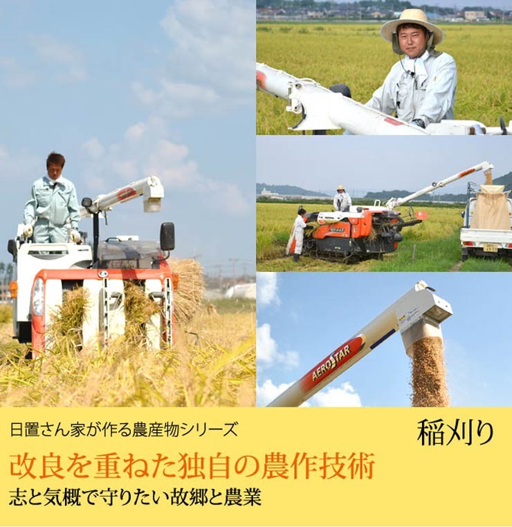 日置さん家のお米シリーズ 稲刈り風景