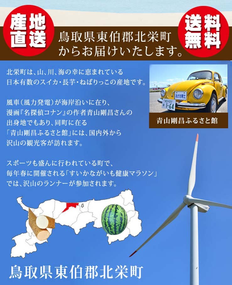 鳥取県東伯郡北栄町産