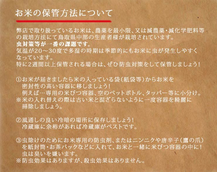 お米保存方法・虫対策