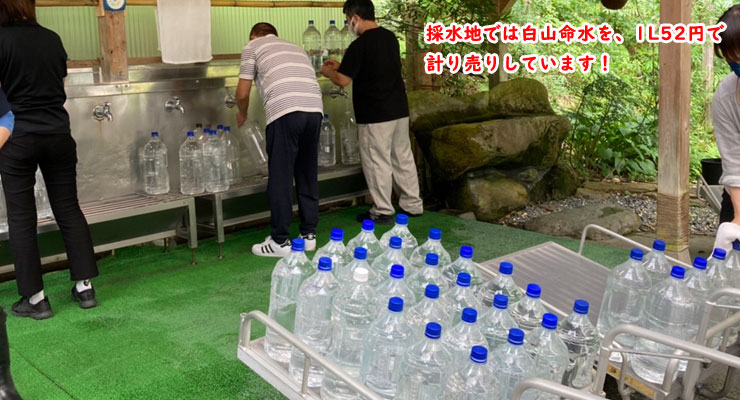 水 ナチュラルミネラルウォーター 天然還元水白山命水 10LW(10L2 水 ナチュラルミネラルウォーター 天然還元水白山命水 10LW(10L2